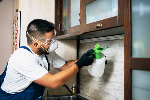 Best Exterminator Services  in Bent, NE
