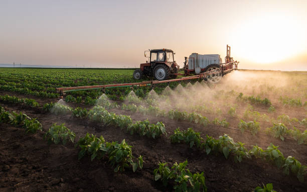 Best Pest Removal Services  in Bent, NE