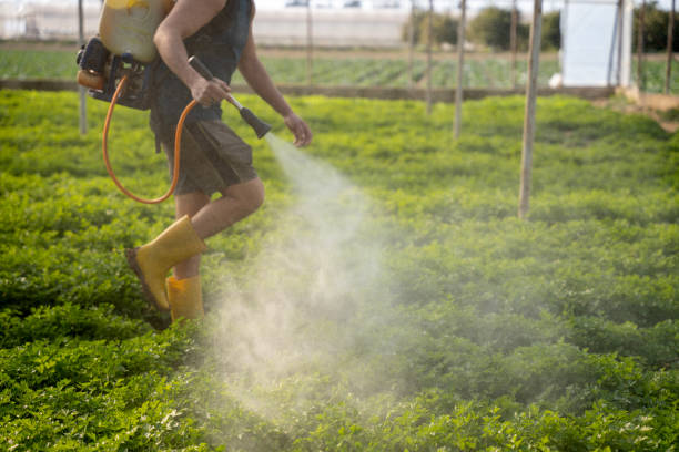 Best Commercial Pest Control Services  in Bent, NE