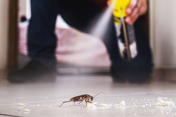 Pest Control Cost in Bennet, NE
