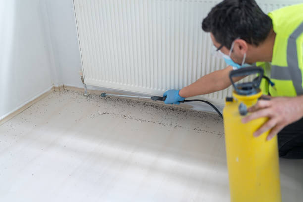 Best Pest Inspection Near Me  in Bent, NE