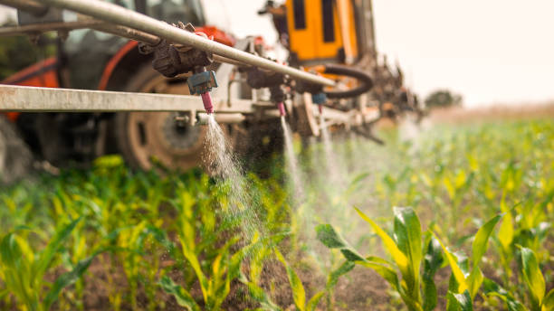 Best Pest Control Cost  in Bent, NE